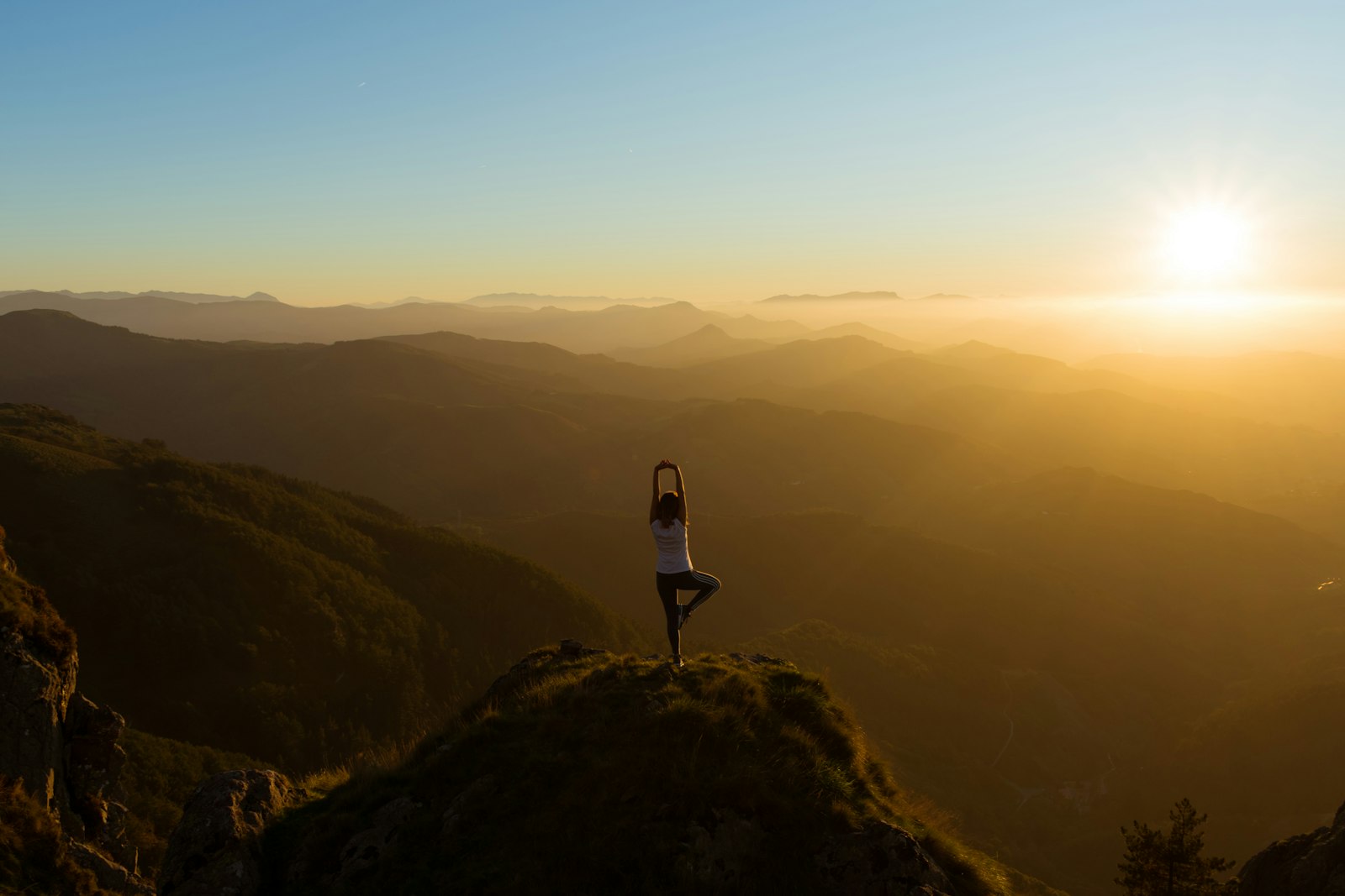 Best Natural Hormone Balance Supplements, Ranked